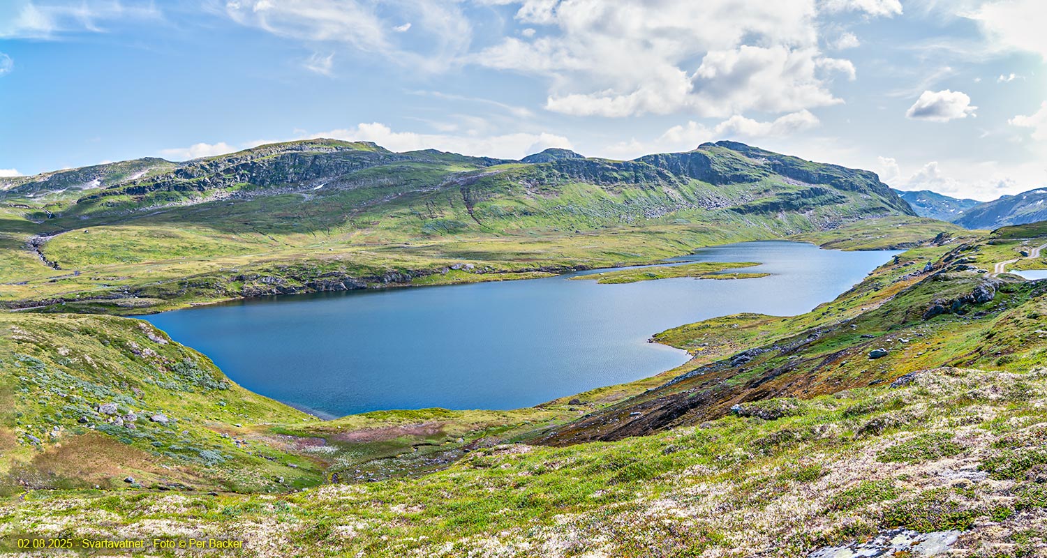 Svartavatnet