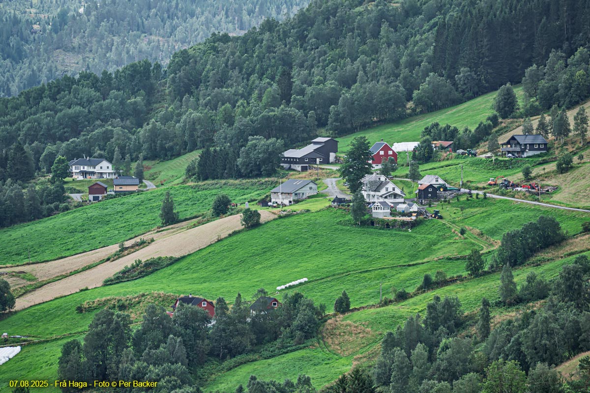 Frå Haga