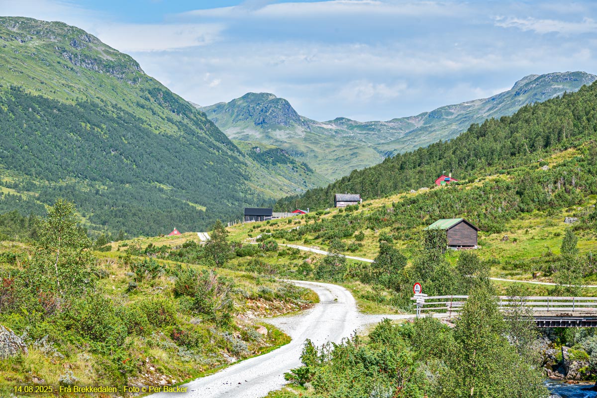 Frå Brekkedalen