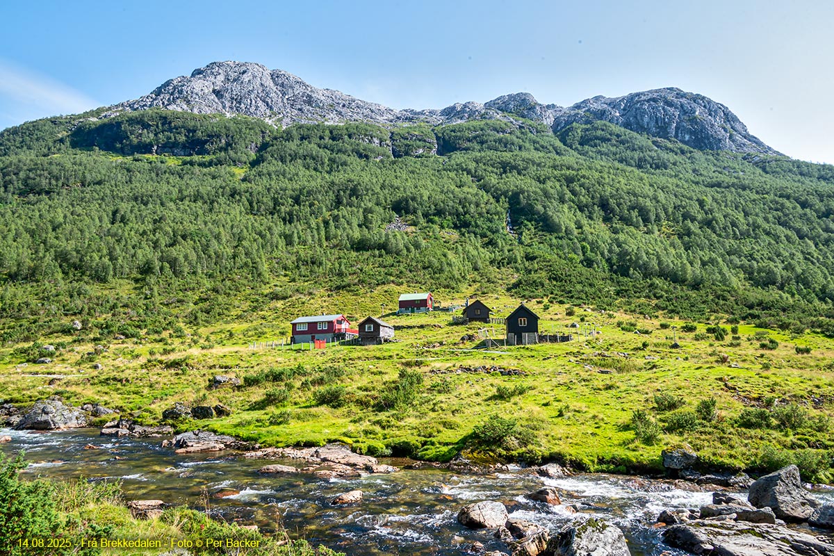 Frå Brekkedalen