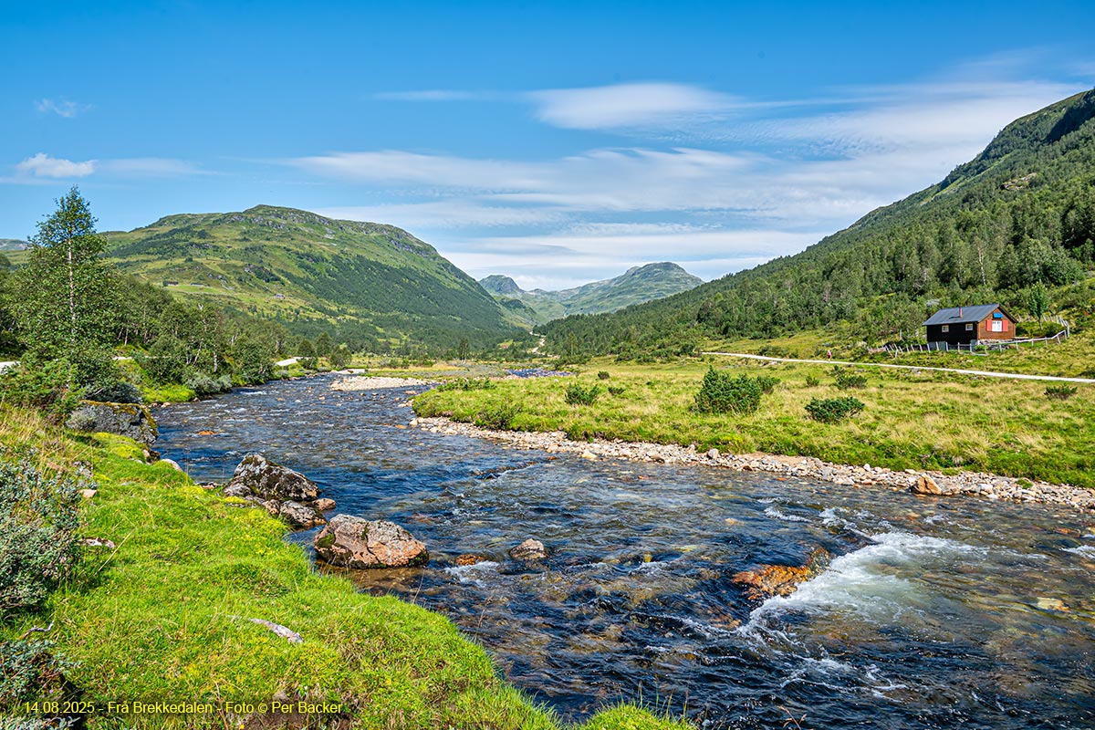 Frå Brekkedalen