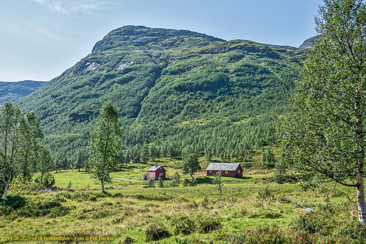 Frå Brekkedalen