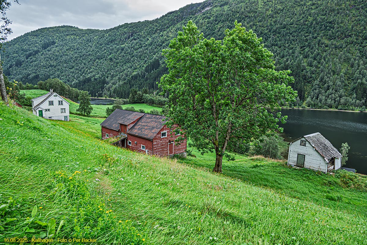 Kallhagen