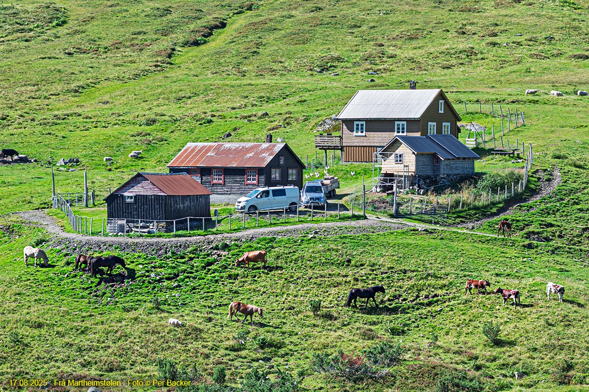Martheimstølen