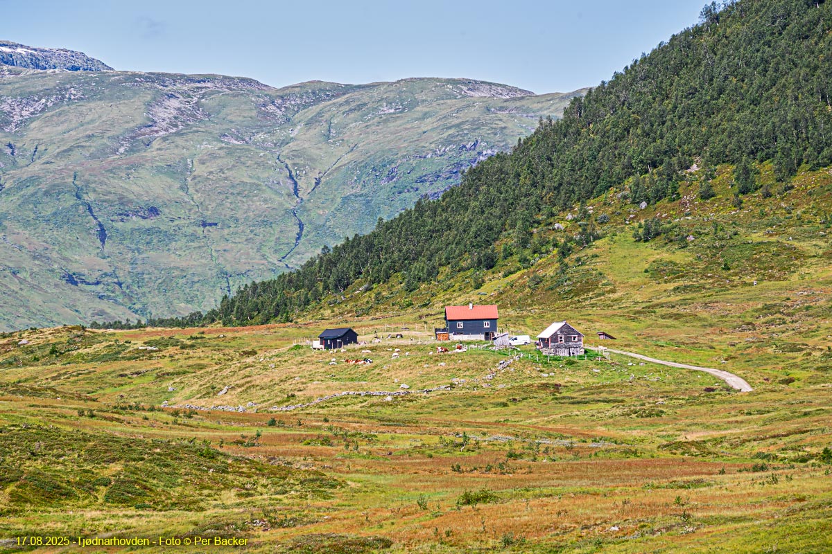 Tjødarhovden