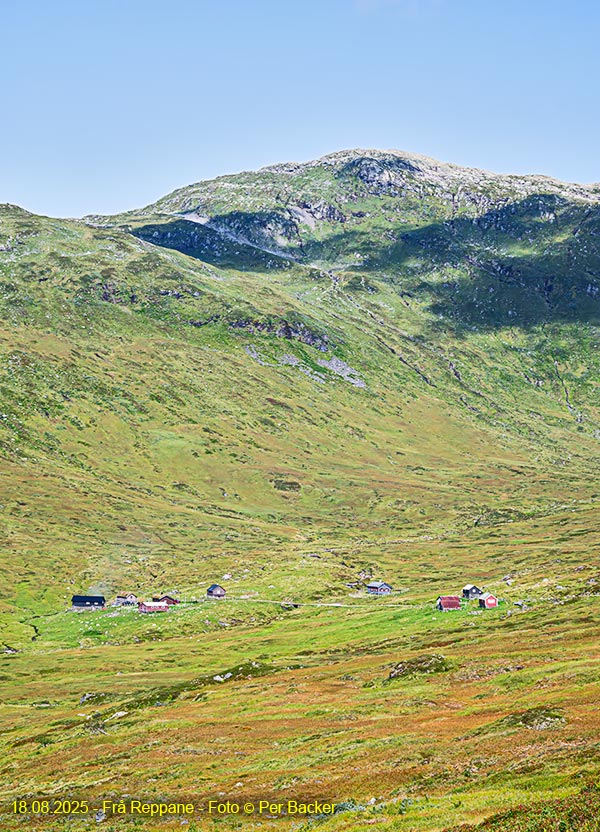 Frå Reppane