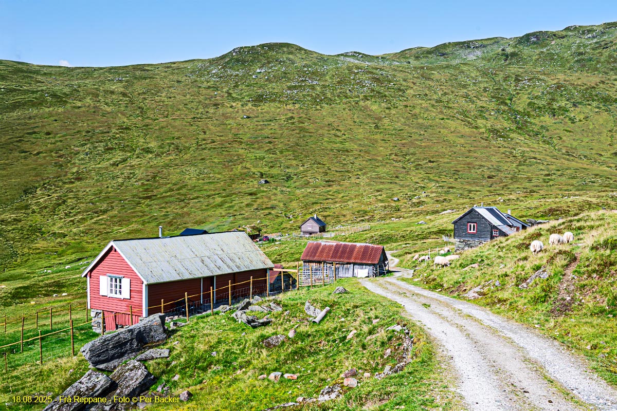 Frå Reppane