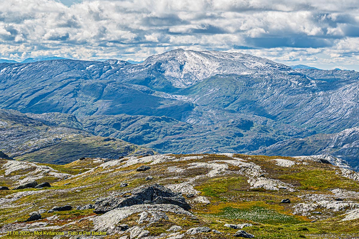 Mot Kvitanosa