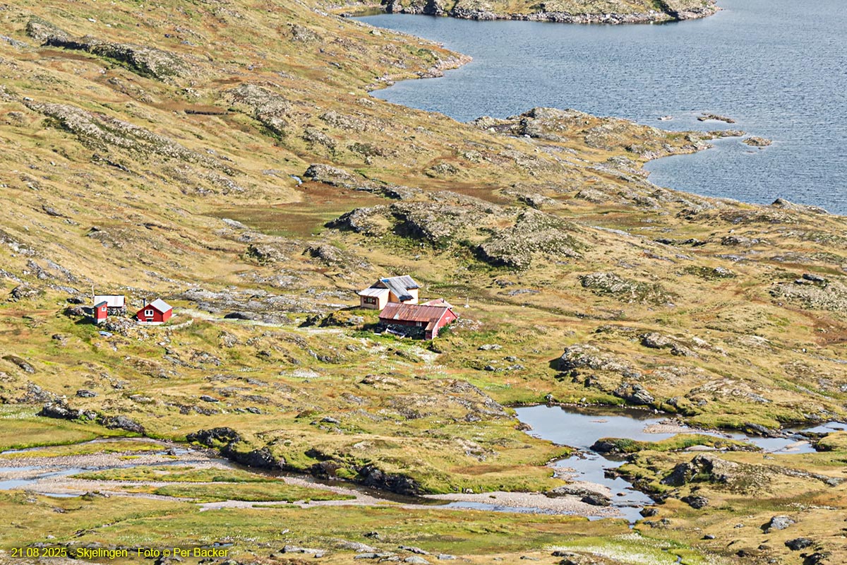 Skjelingen