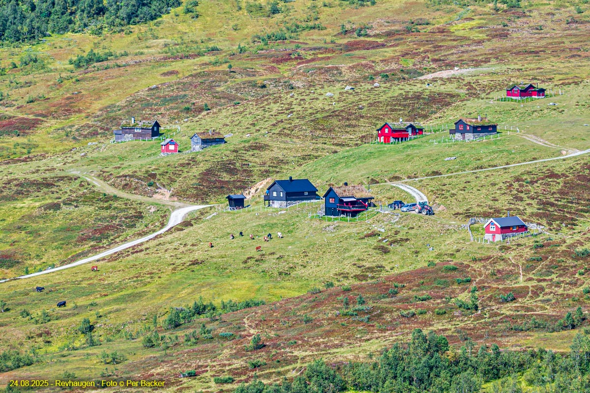 Revhaugen