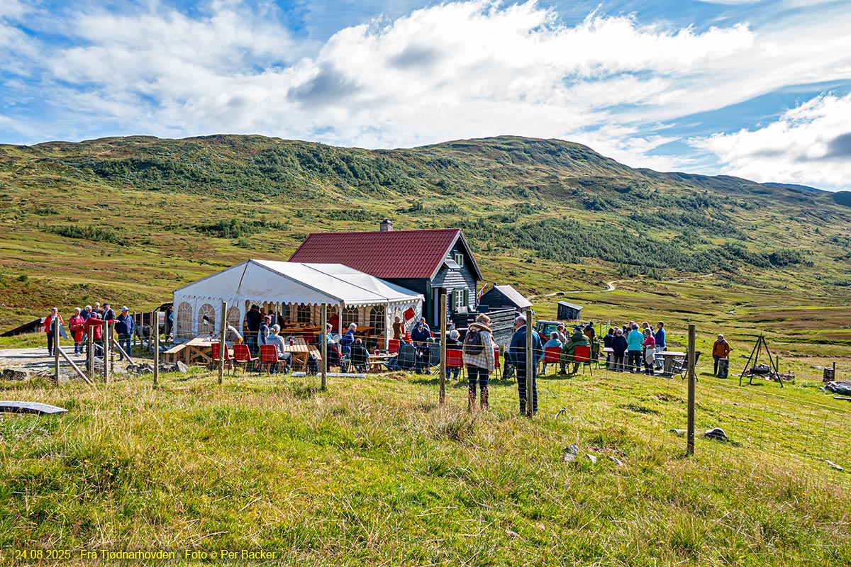 Tjødnarhovden