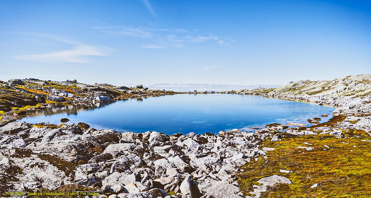 Tjødn på Finnbufjellet