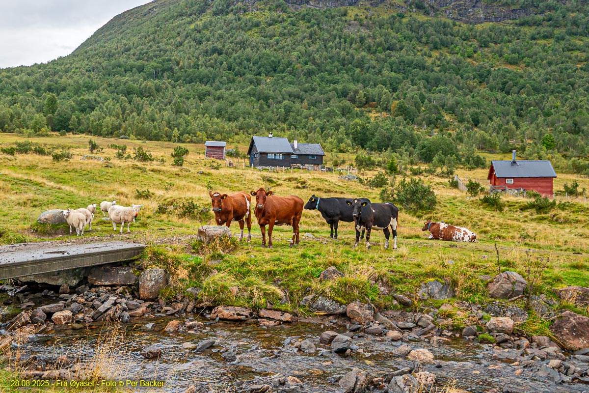 Frå Øyaset