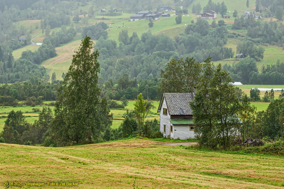 Vinjahagen