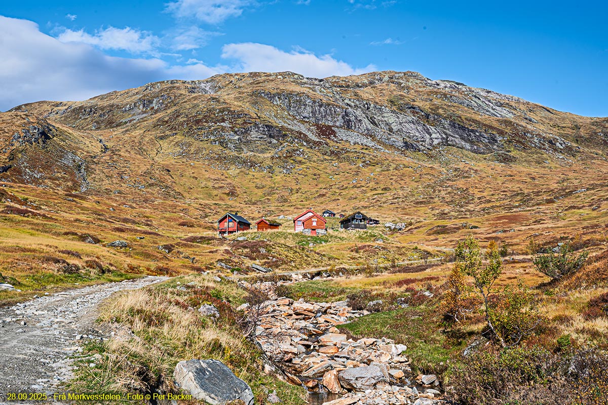 Frå Mørkvesstølen