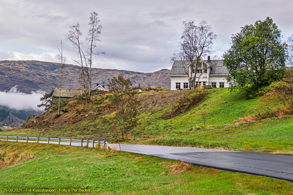 Frå Kvasshaugen
