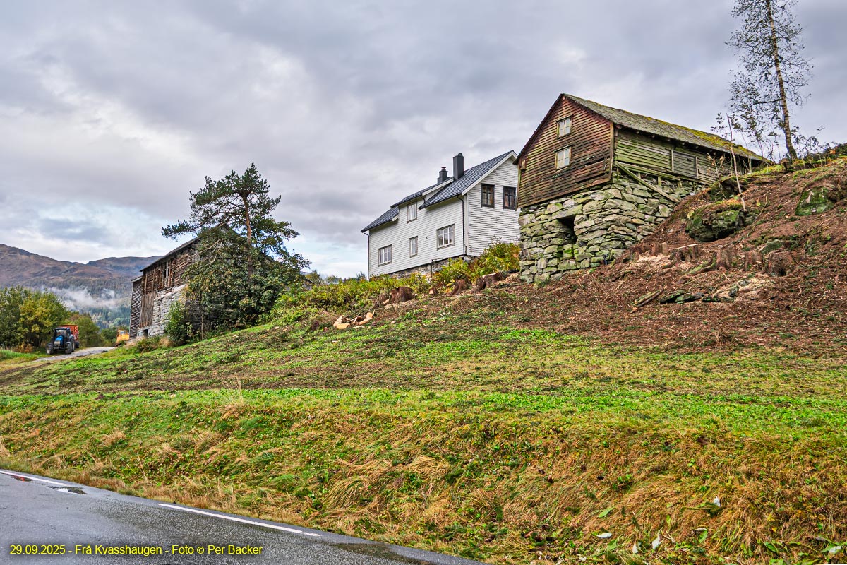 Frå Kvasshaugen