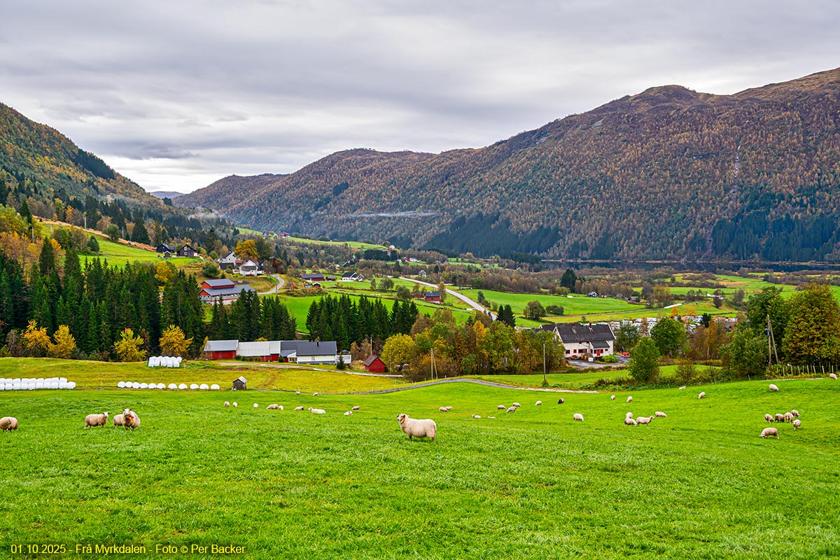 Frå Myrkdalen