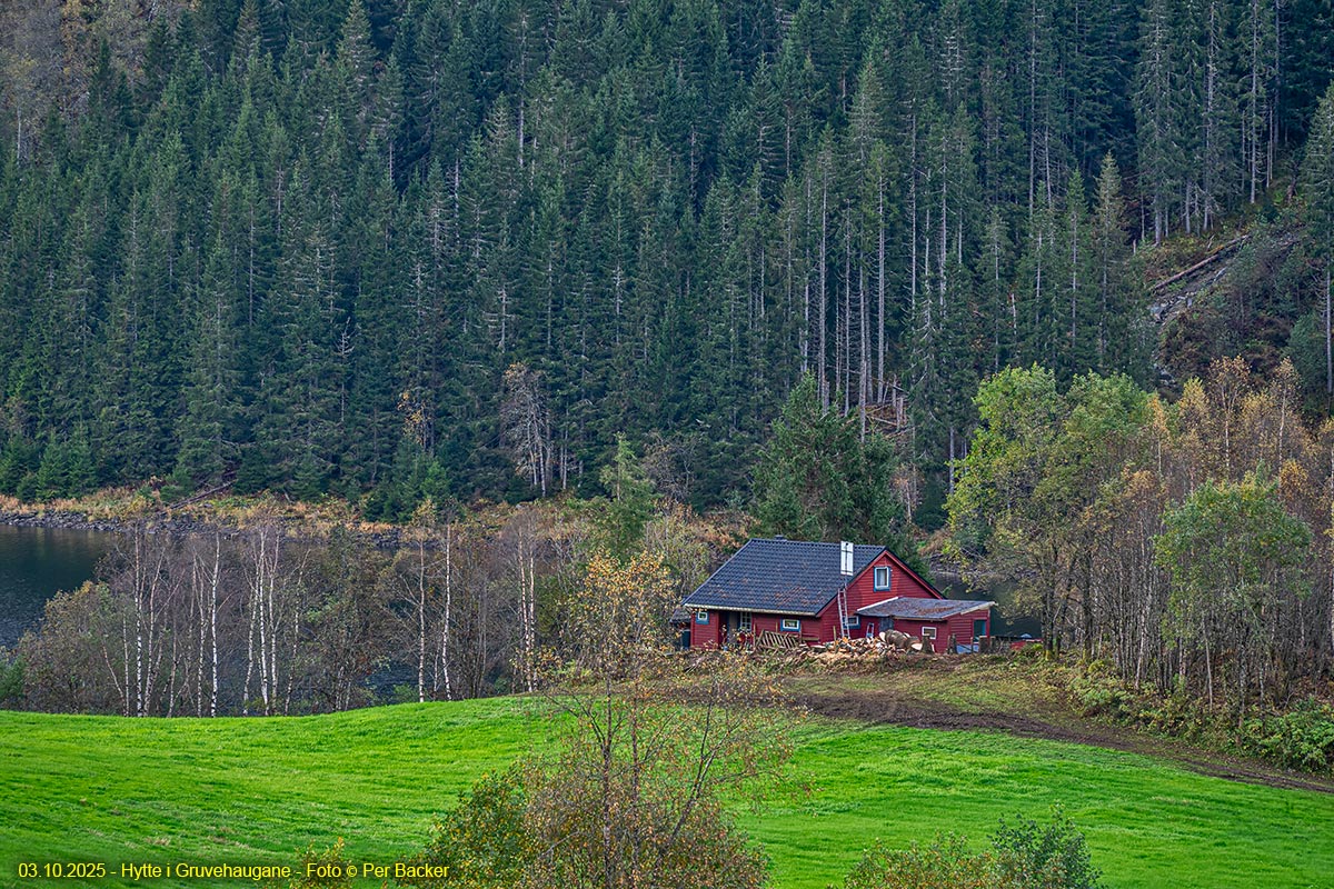 Hytte i Gruvehaugane