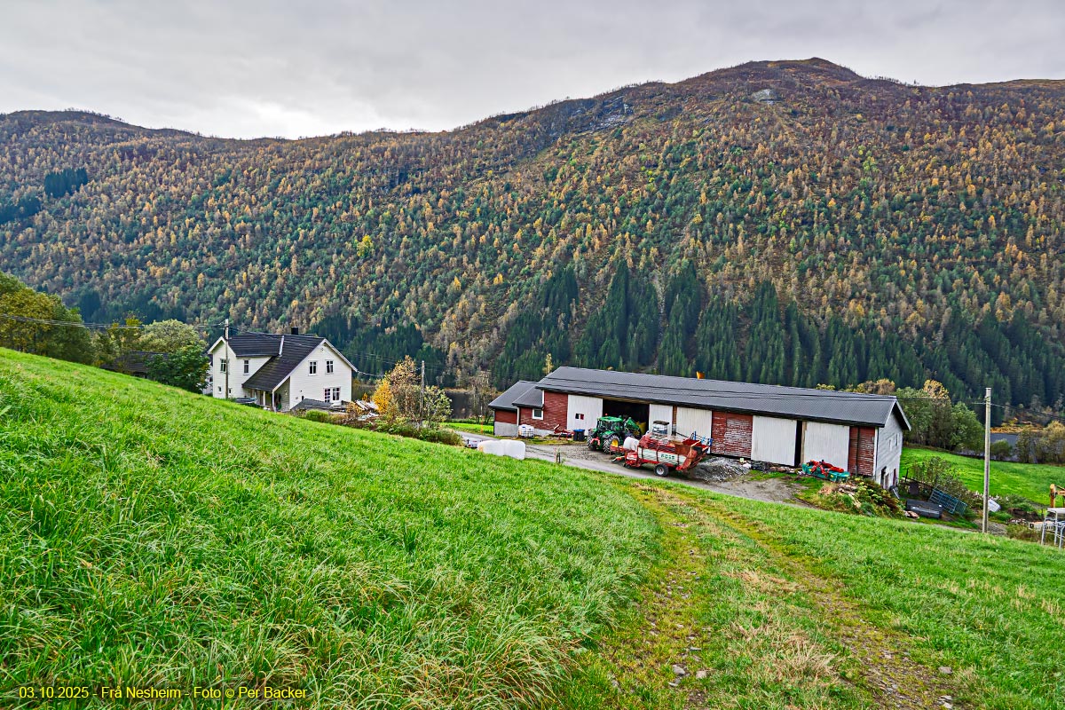 Frå NesheimFrå Nesheim