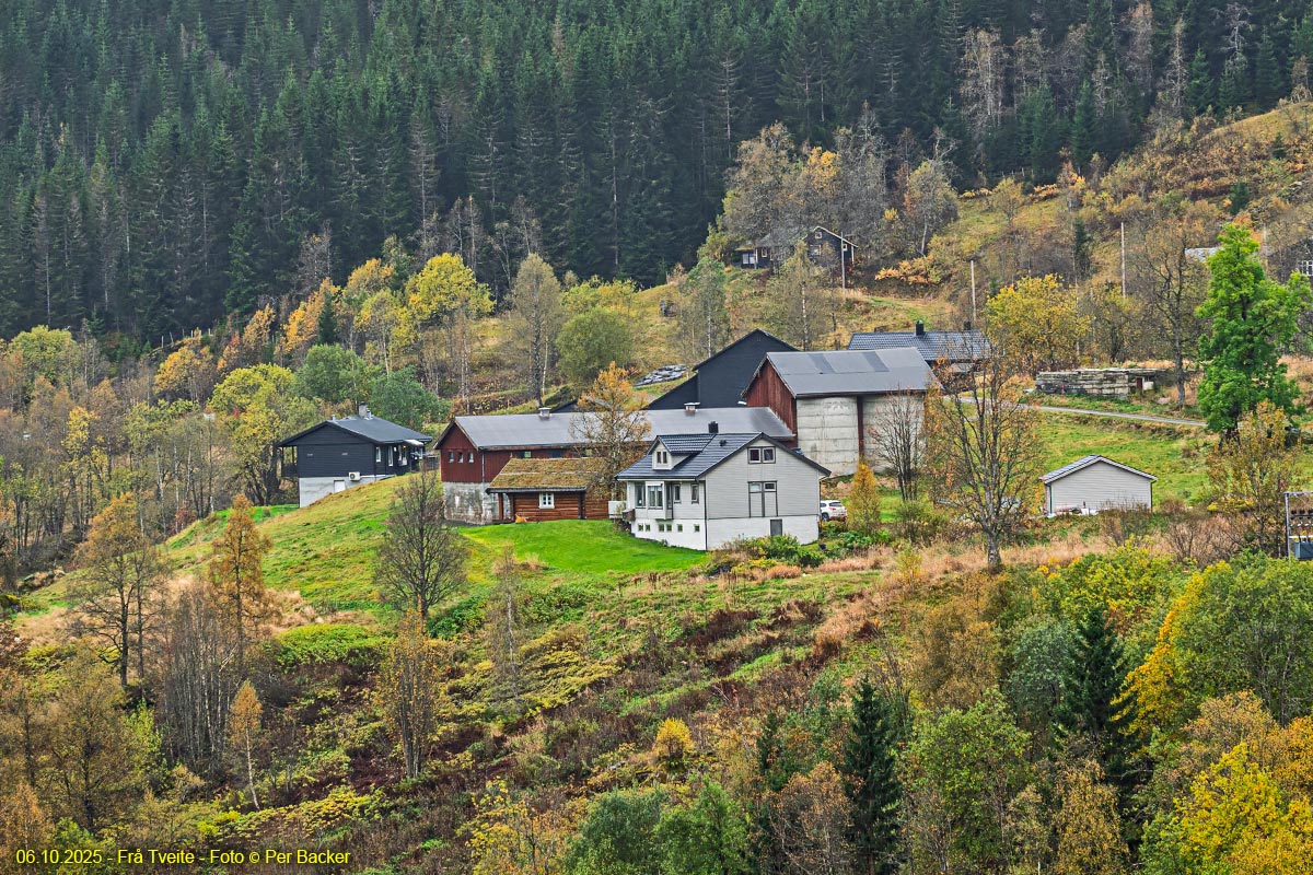Frå Tveite