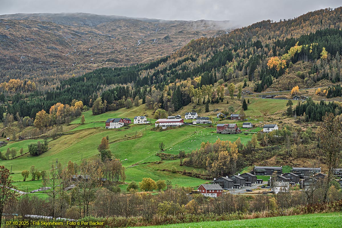 Frå Skjervheim