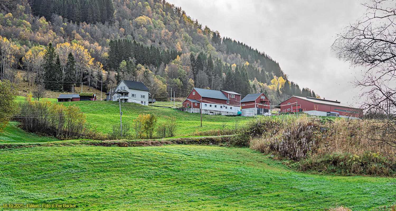 Flåten