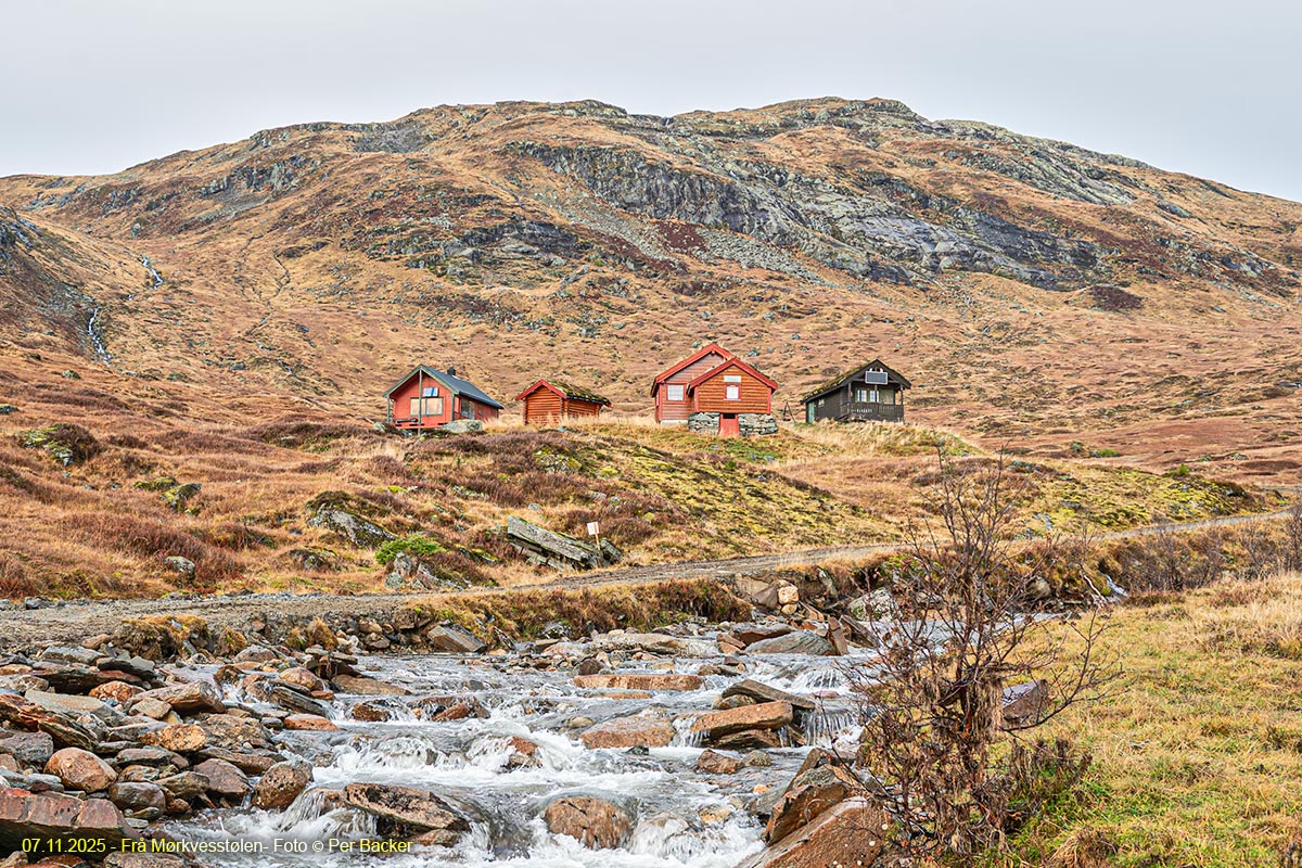 Frå Mørkvesstølen