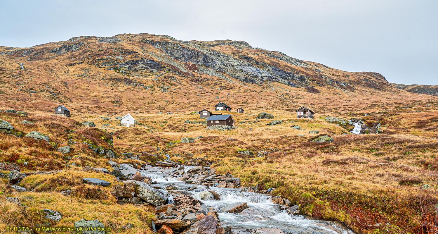 Frå Mørkvesstølen