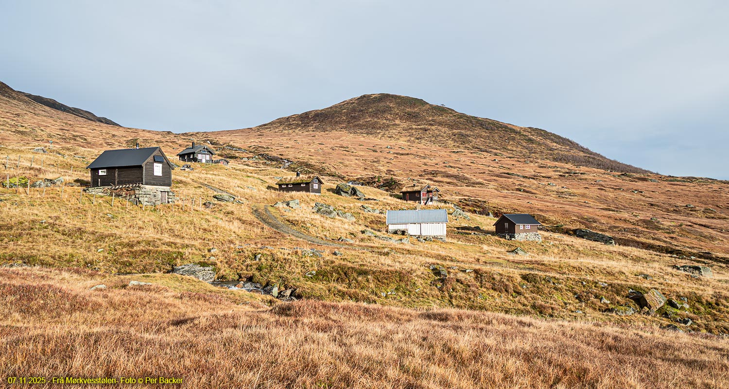 Frå Mørkvesstølen