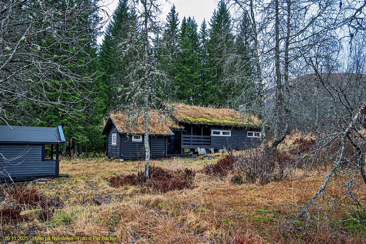 Hytte på Nyestølen