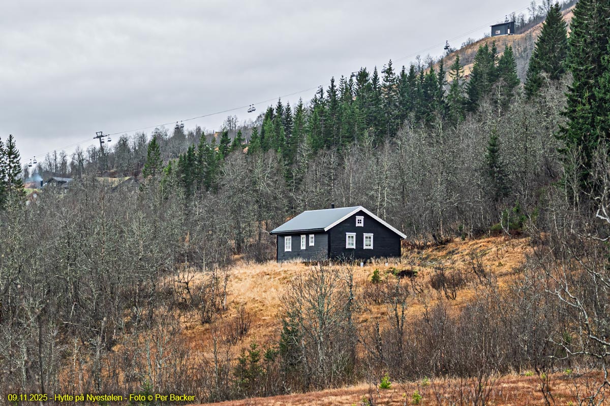 Hytte på Nyestølen