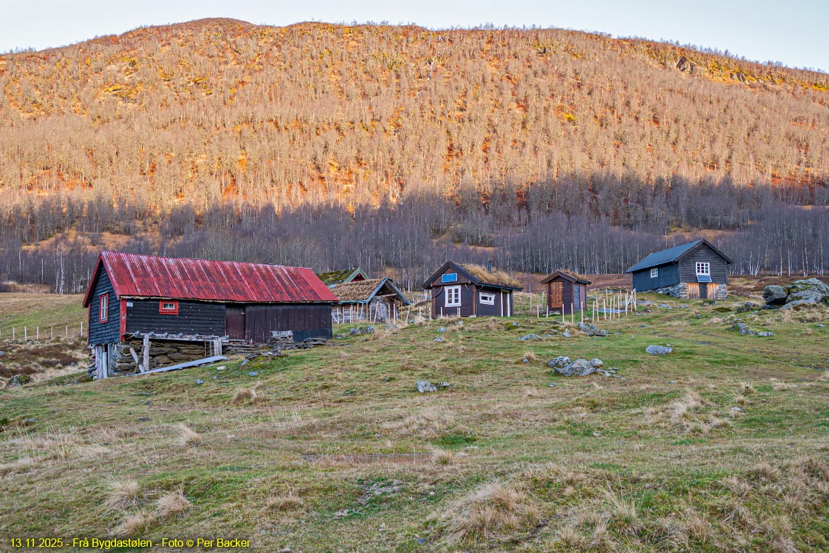 Frå Bygdastølen