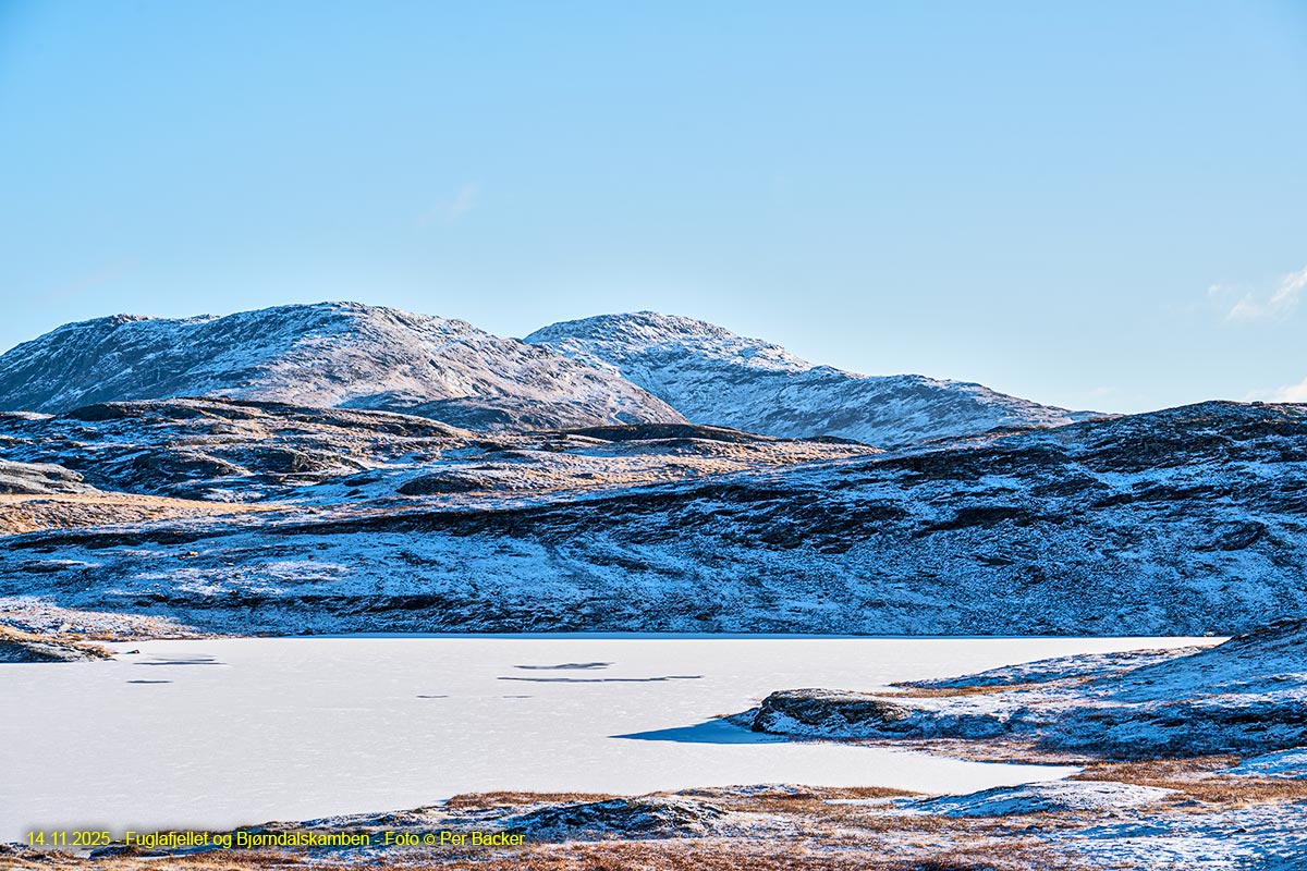 Mot Fuglafjellet og Bjørndalskamben