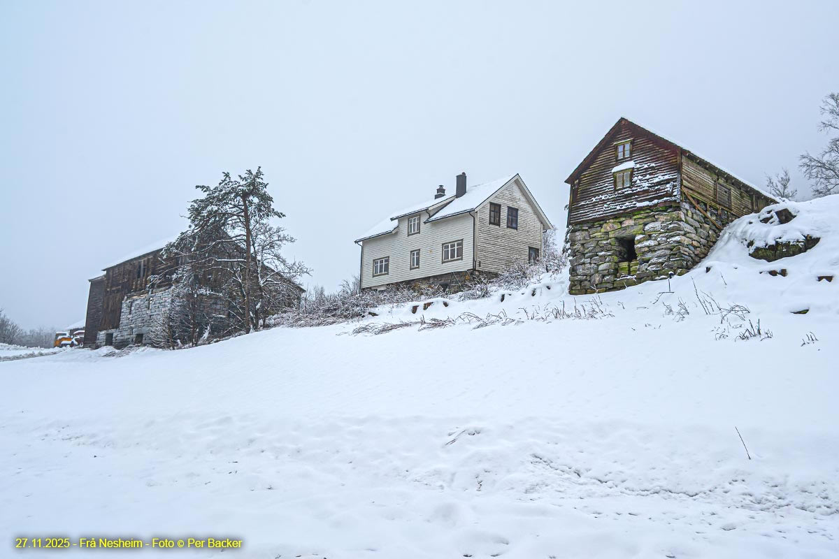Frå Nesheim
