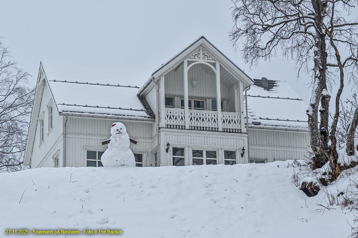 Snømann på Nesheim