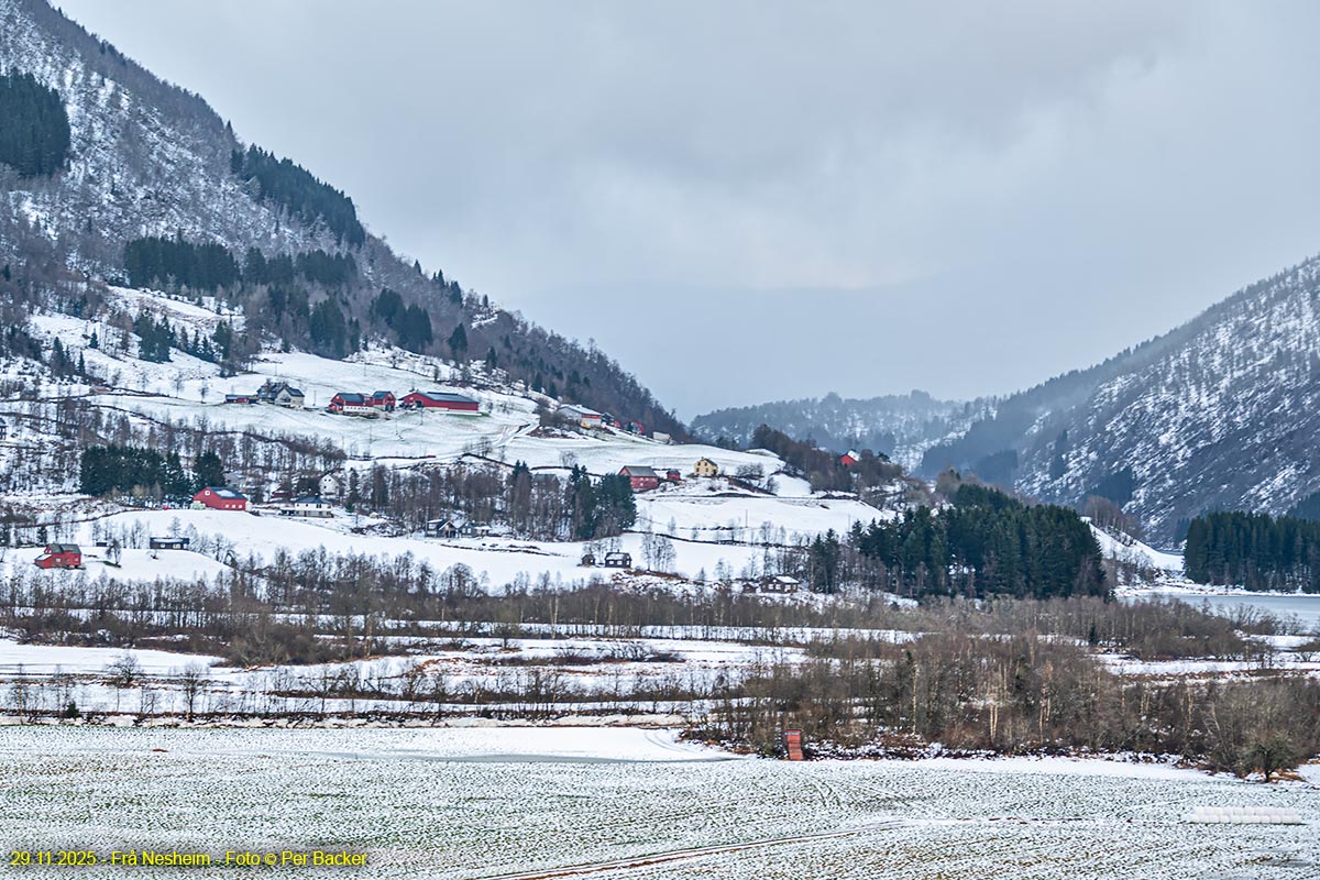 Frå Nesheim