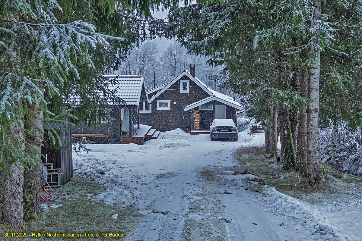 Hytte i Nesheimshagen