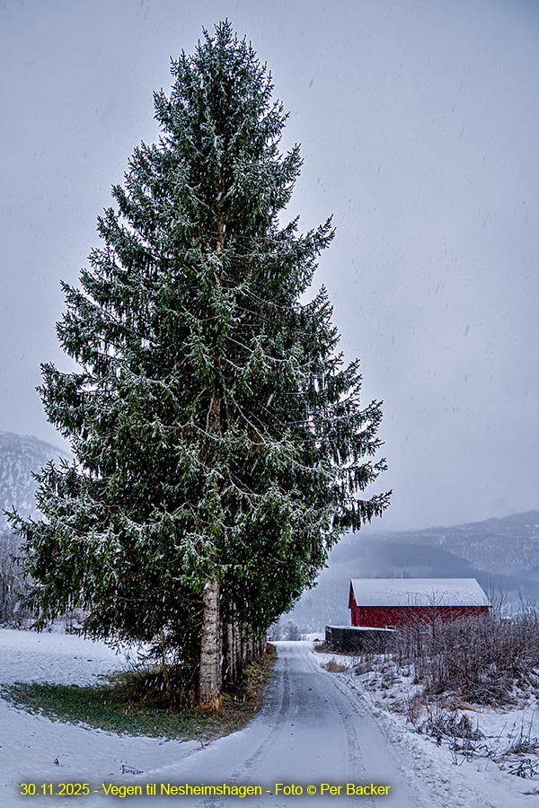 Vegen til Nesheimshagen