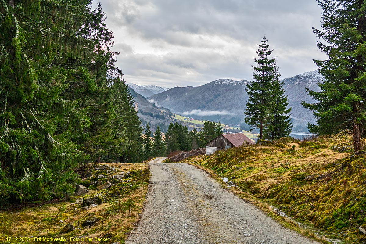 Frå Mørkveslia