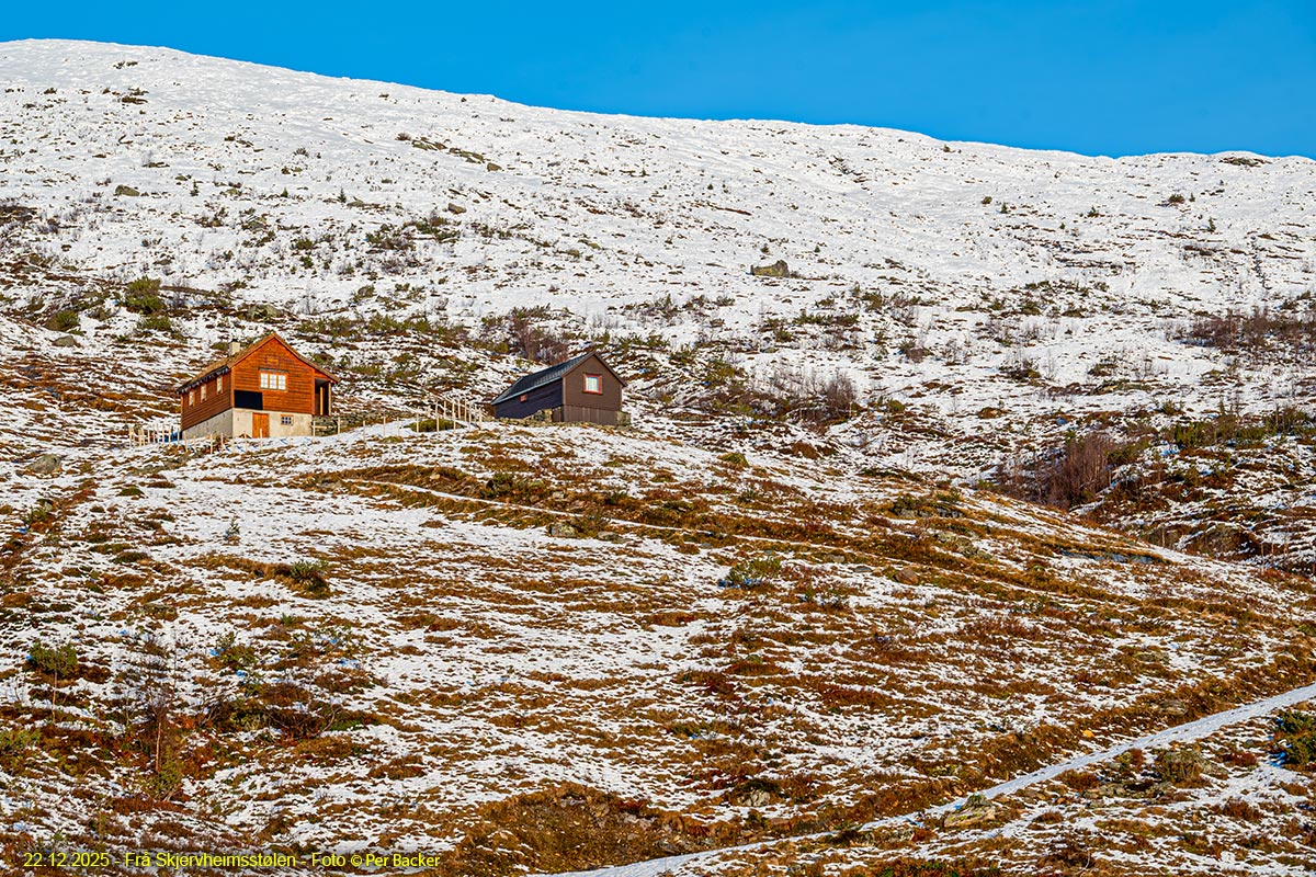 Frå Skjervheimsstølen