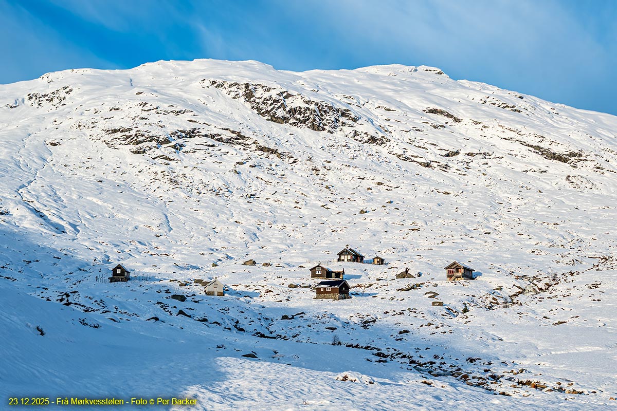 Frå Mørkvesstølen
