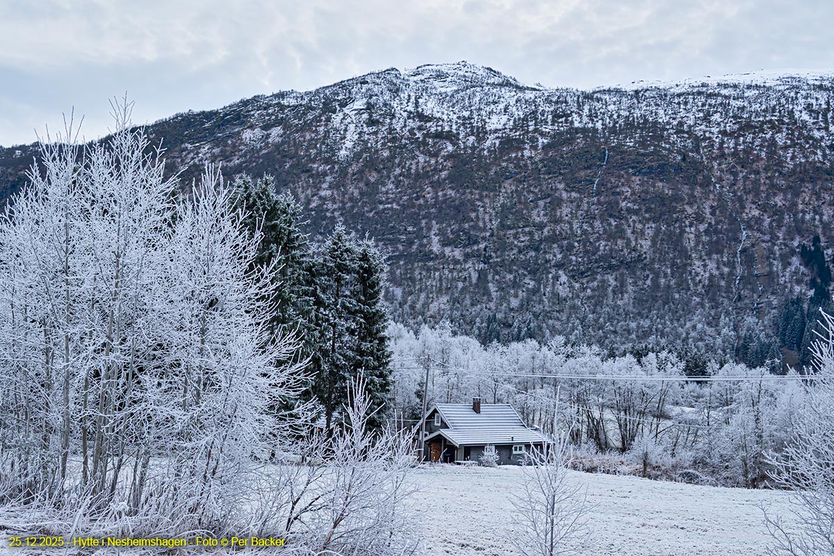 Hytte i Nesheimshagen