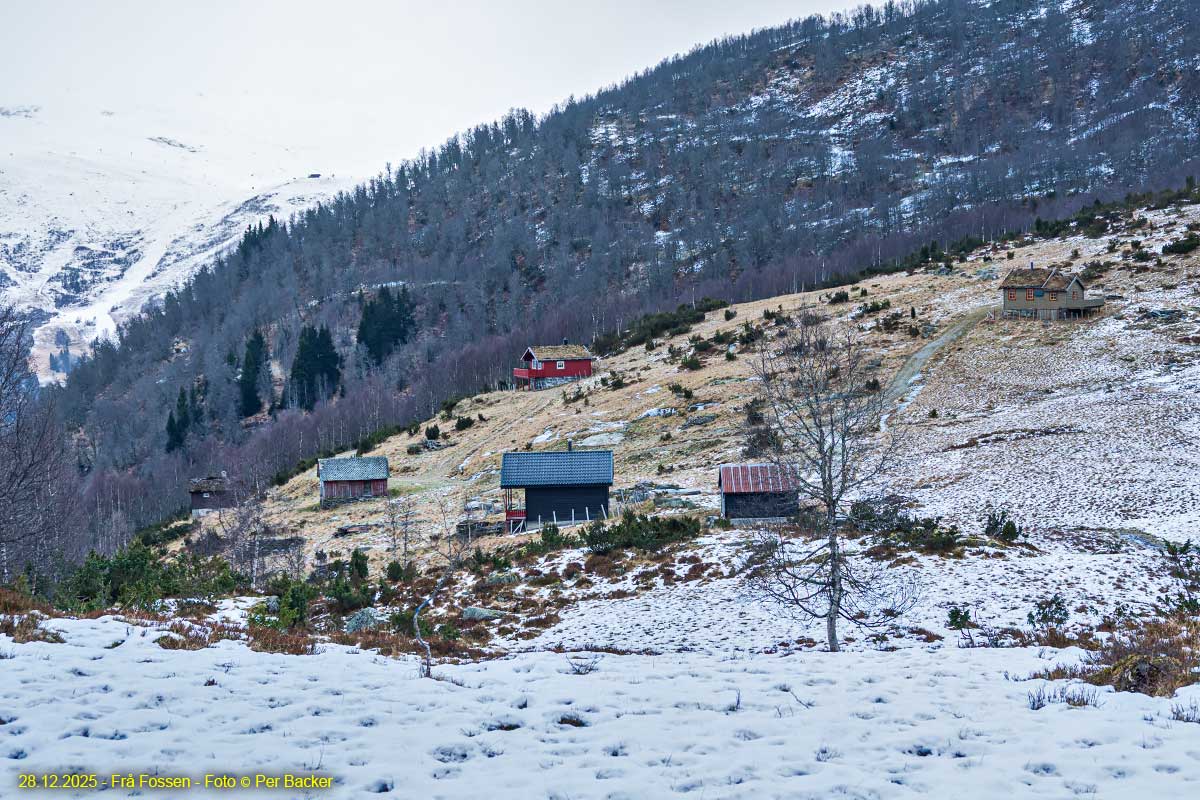Frå Fossen