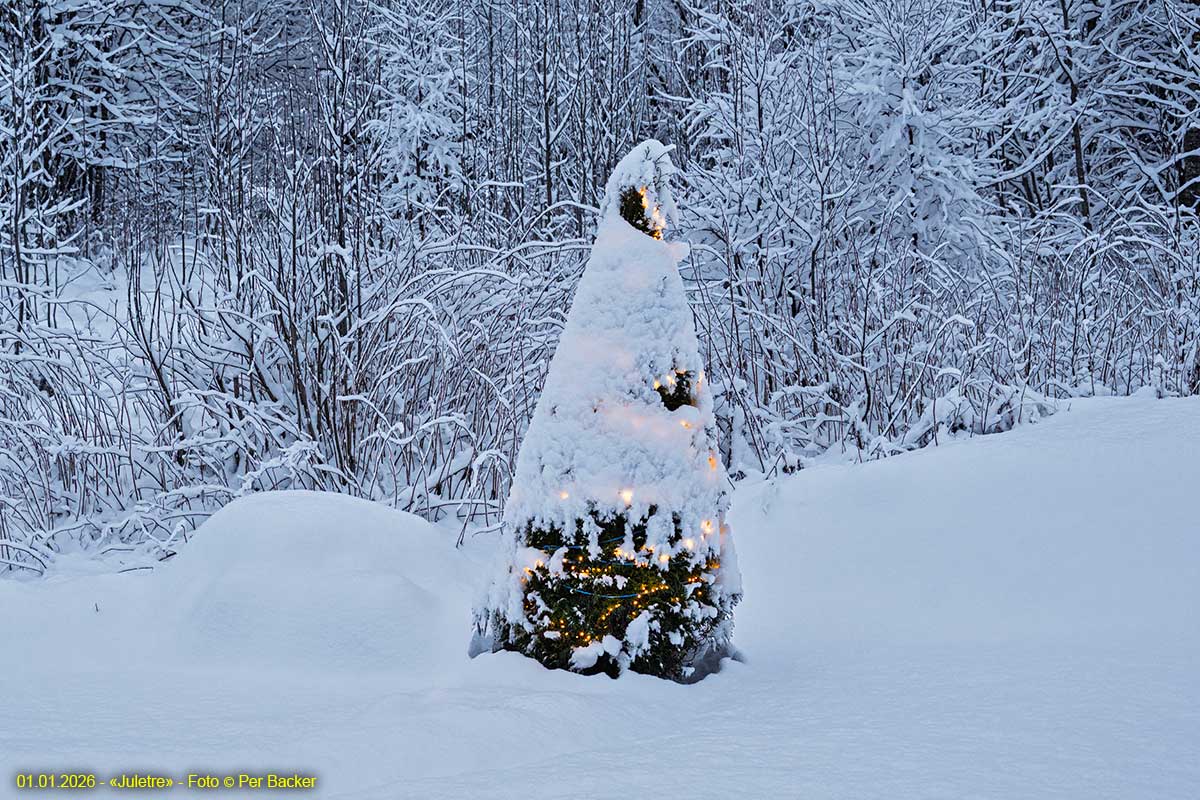 "Juletre"