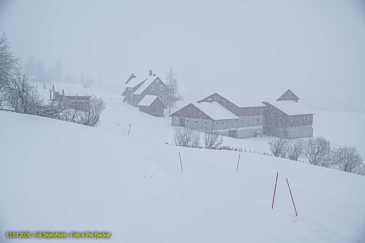 Frå Skjervheim