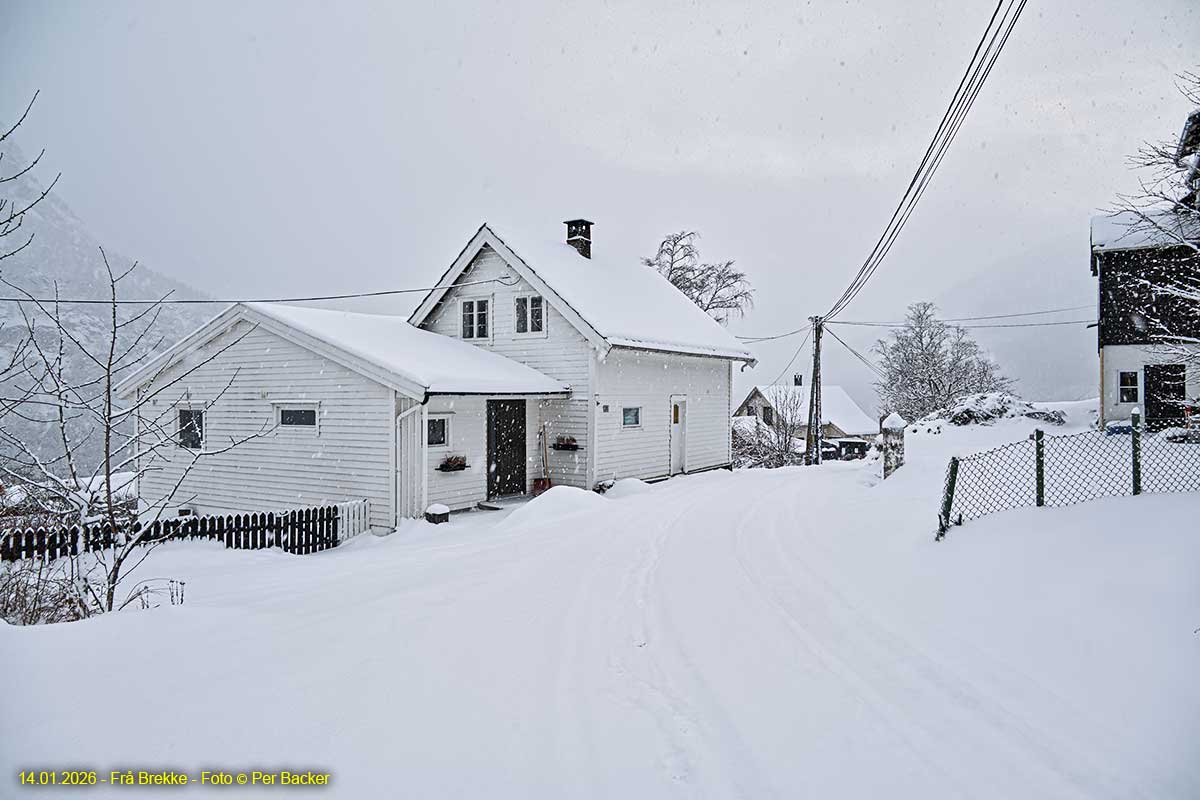 Frå Brekke