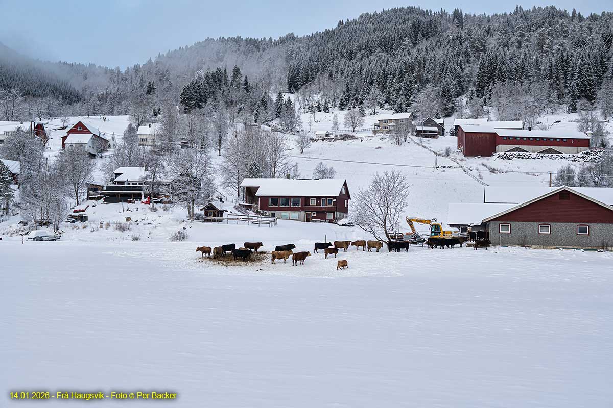 Frå Haugsvik