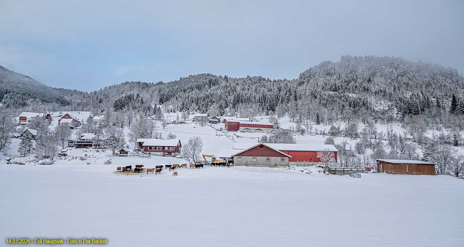 Frå Haugsvik