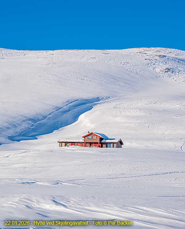 Hytte ved Skjelingavatnet